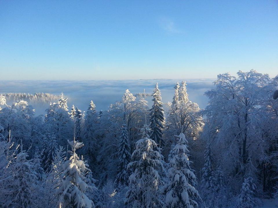 Chalet Baluma Maluba Jahorina Exteriör bild