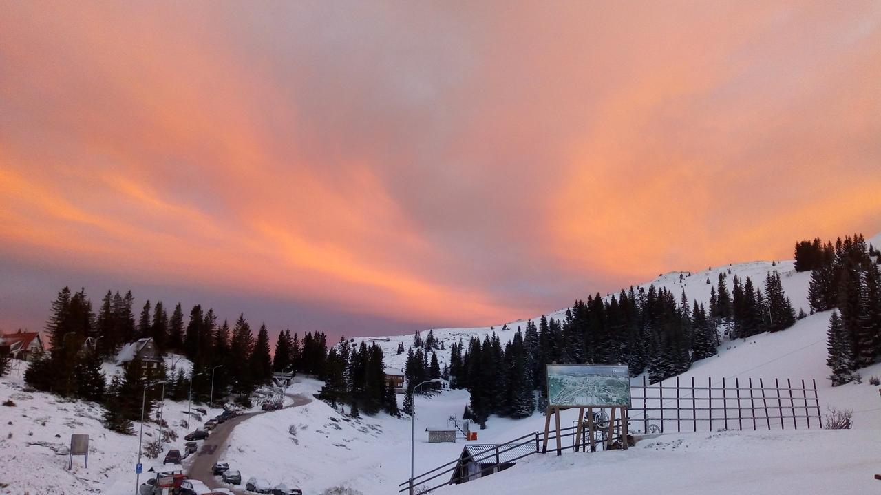 Chalet Baluma Maluba Jahorina Exteriör bild